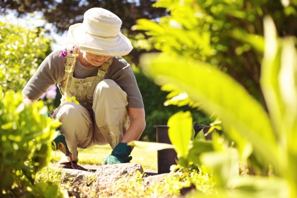 Senior,Woman,With,Gardening,Tool,Working,In,Her,Backyard,Garden